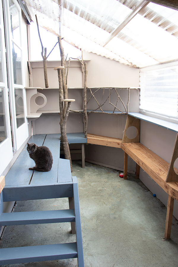 a cat sitting on top of a wooden deck, petspective room layout, whiskers hq, beachwood treehouse, in a tree house, cat design, treehouse, cat tower, filled habitats and places to sleep and chill.